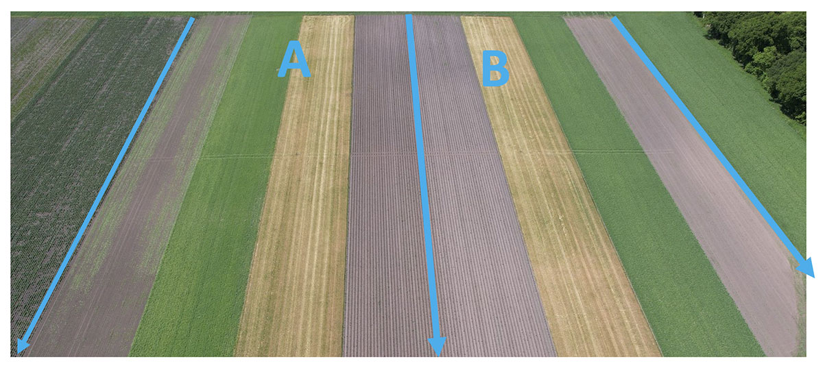 proef-voorbeeld voorbeeld van hoe de proef eruit ziet met pijlen op een akker